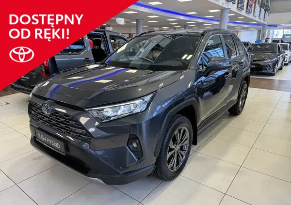 toyota rav4 Toyota RAV4 cena 189969 przebieg: 5, rok produkcji 2024 z Pełczyce